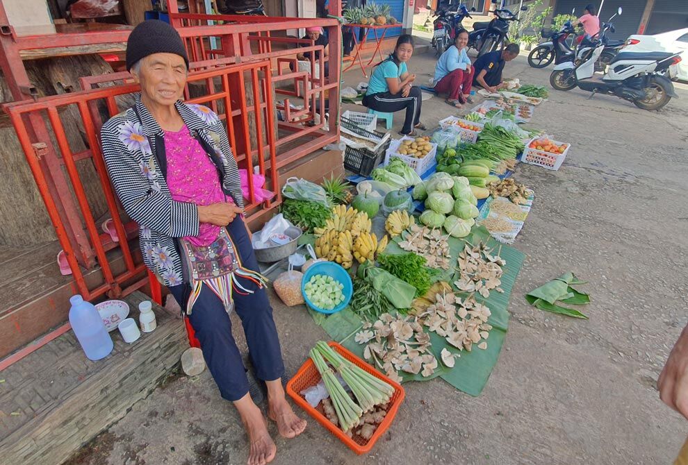 Doi Mae Salong Local Market in the North of Thailand